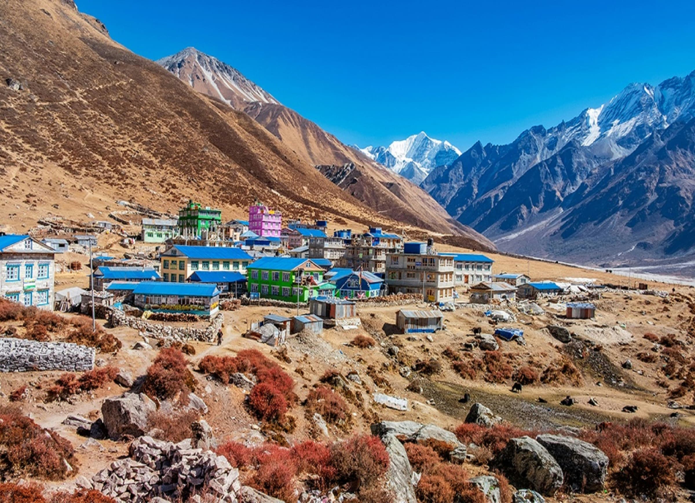 Langtang Valley Trek photo 6
