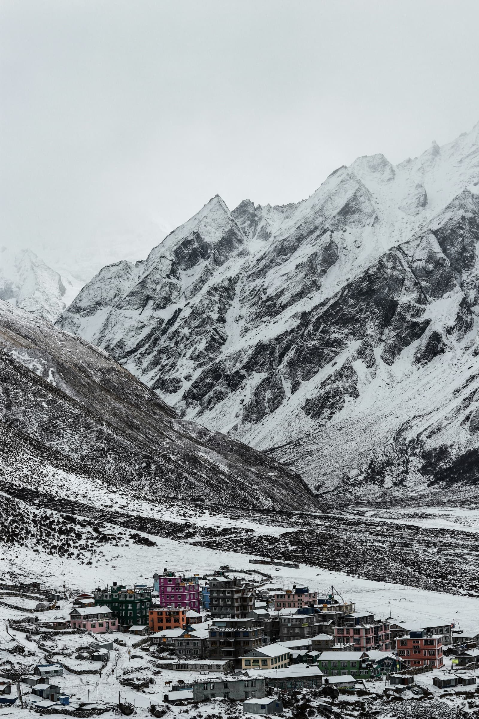 Langtang Valley Trek photo 8